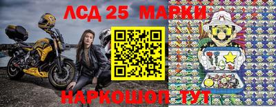 гашик Краснознаменск