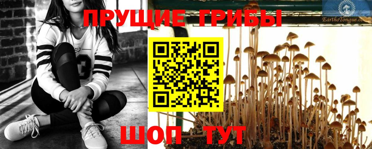 Псилоцибиновые грибы GOLDEN TEACHER  Вход с VPN  Верхняя Салда  Галлюциногенные грибы GOLDEN TEACHER 